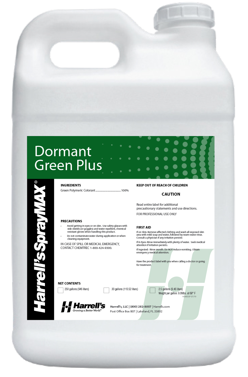 Dormant Green jug